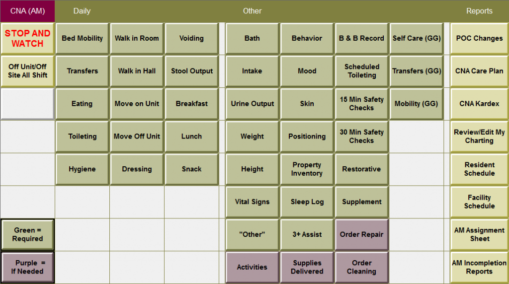 CNA Charting for CNAs | American Data