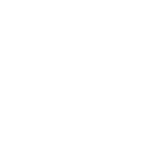 Care Icon